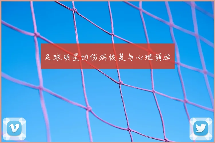 足球明星的伤病恢复与心理调适