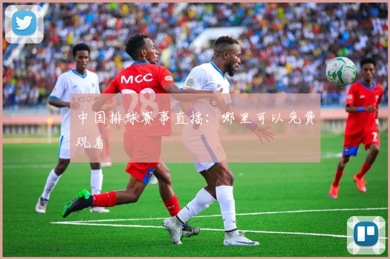 中国排球赛事直播：哪里可以免费观看
