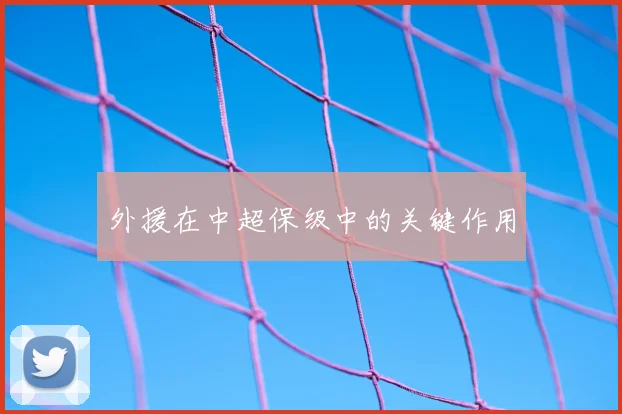 外援在中超保级中的关键作用